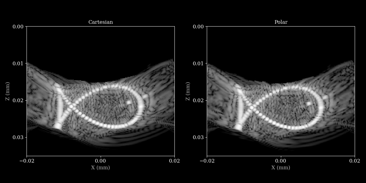 polar_grid_fish